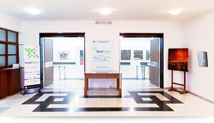 Institucional
